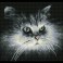 Shadow Cat - Pre-Framed Kit