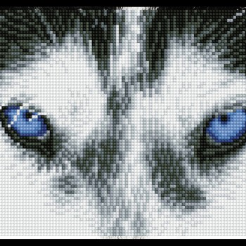 Mystic Husky - Pre-Framed Kit