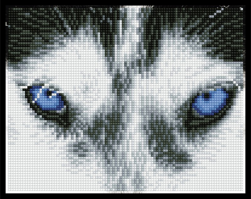 Mystic Husky - Pre-Framed Kit Mystic Husky - Pre-Framed Kit