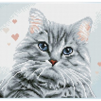 Pricilla - Pre-Framed Kit