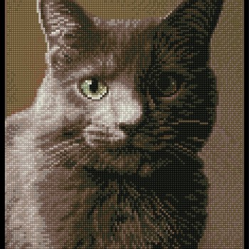 Smokey - Pre-Framed Kit