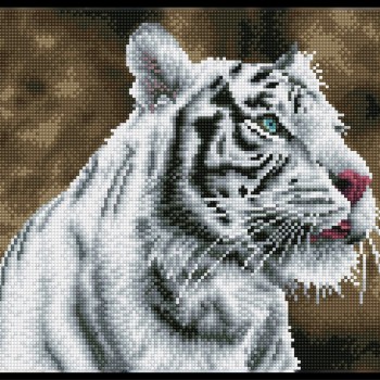 Tigre Blanc - Pre-Framed Kit