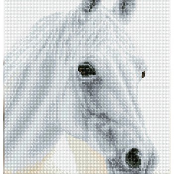 Arabian Beauty - Pre-Framed Kit