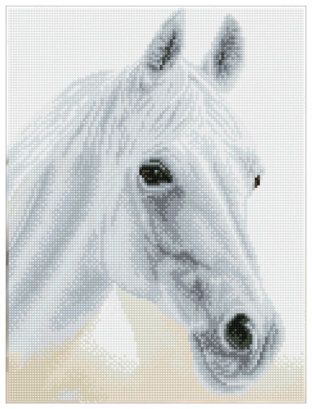 Arabian Beauty - Pre-Framed Kit Arabian Beauty - Pre-Framed Kit