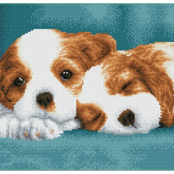 Little Champs - Pre-Framed Kit