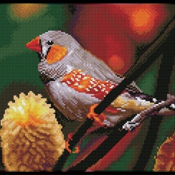 Gouldian Finch - Pre-Framed Kit