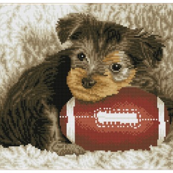 Footy Pup - Pre-Framed Kit