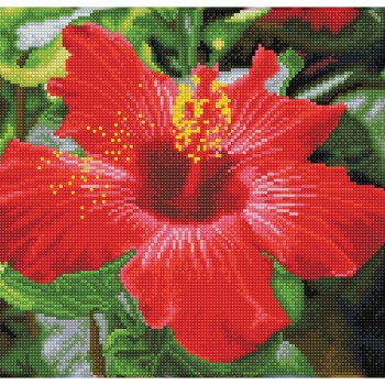 Hibiscus in bloom - Pre-Framed Kit