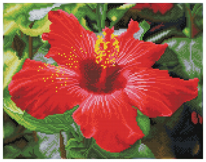 Hibiscus in bloom - Pre-Framed Kit