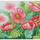 Watercolour Poppies - Pre-Framed Kit