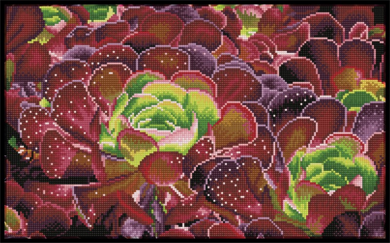 Succulents - Pre-Framed Kit Succulents - Pre-Framed Kit