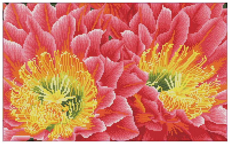 Desert Blooms - Pre-Framed Kit Desert Blooms - Pre-Framed Kit