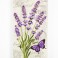 French Lavender