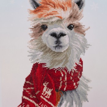 Cozy Llama