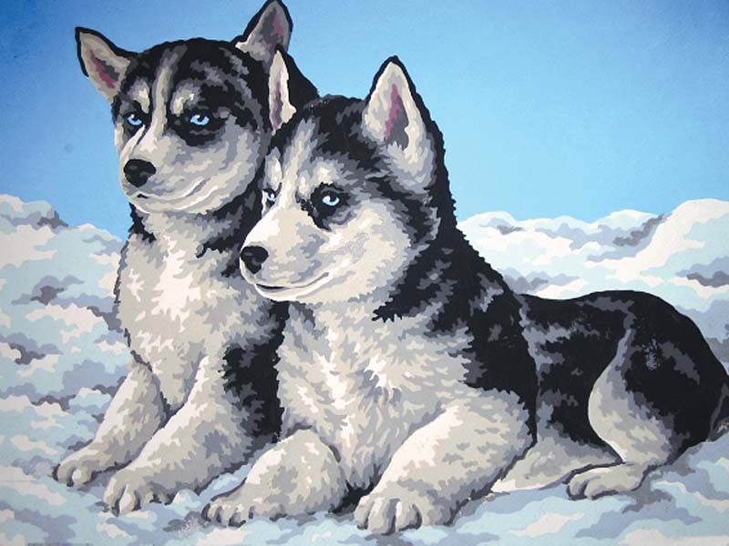 10403 - Husky Puppies