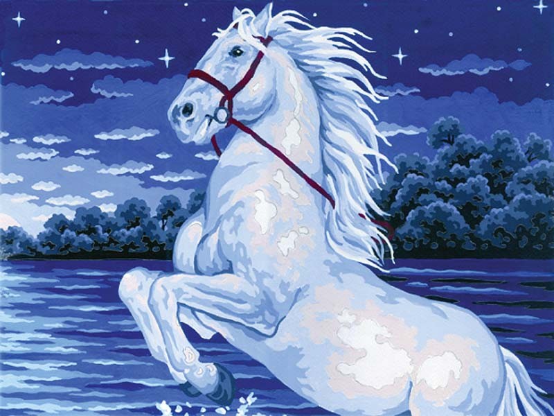 10363 - Magical Horse