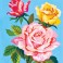 3293 - Pink and Yellow Roses