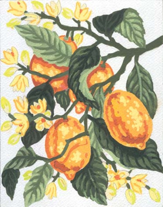 3162 - Lemons