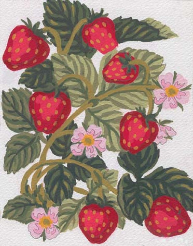 3161 - Strawberries 3161 - Strawberries