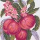 3160 - Peaches