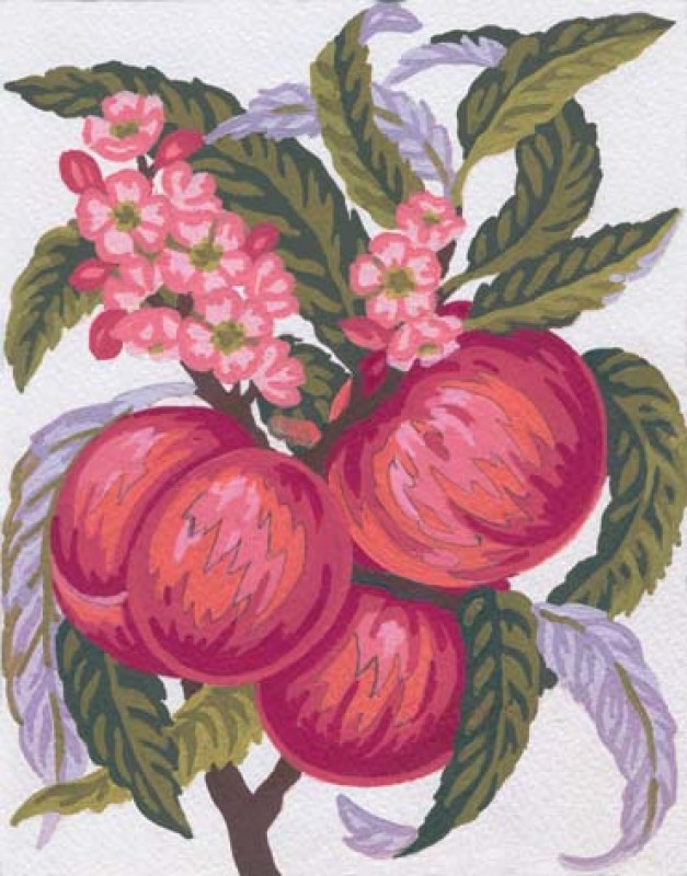 3160 - Peaches