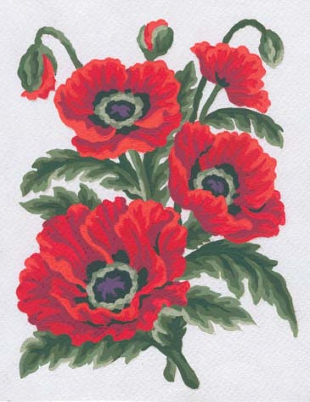3149 - Poppies 3149 - Poppies