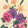 3117 - Daffodils and Pansies