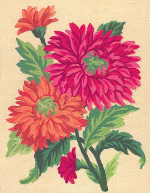 3115 - Orange Daisies 3115 - Orange Daisies