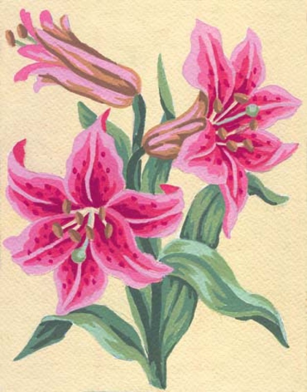 3106 - Pink Lillies 3106 - Pink Lillies