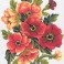 3049 - Anemones