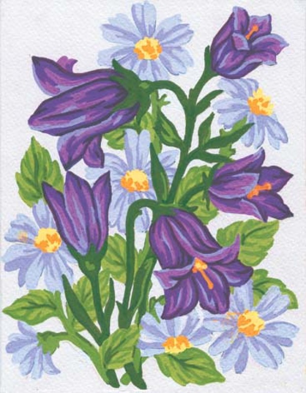3041 - Bluebells 3041 - Bluebells