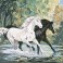 12959 - Crossing the River