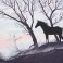11878 - Stallion Silhouette