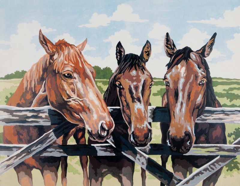 11500 - Three Amigos 11500 - Three Amigos