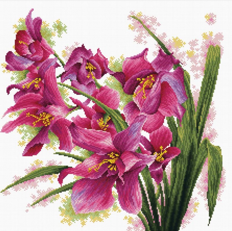 640.070 - Lovely Orchids